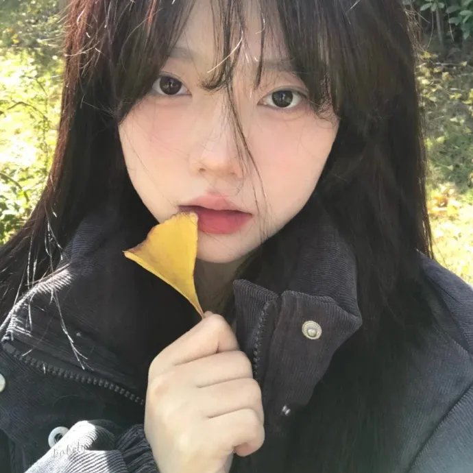 比基尼洗车场